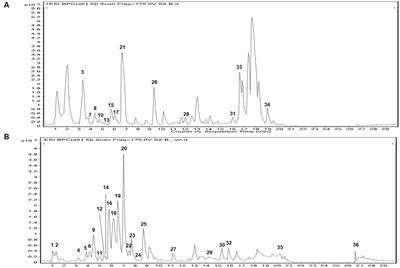 Chemical and biochemical characterization of Ipomoea aquatica: genoprotective potential and inhibitory mechanism of its phytochemicals against α-amylase and α-glucosidase